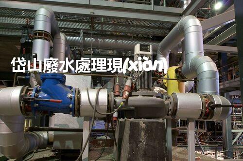 岱山廢水處理現(xiàn)狀調(diào)查與未來(lái)展望：挑戰(zhàn)與機(jī)遇并存？